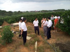 商業策劃公司為什么需要做好市場研究工作？